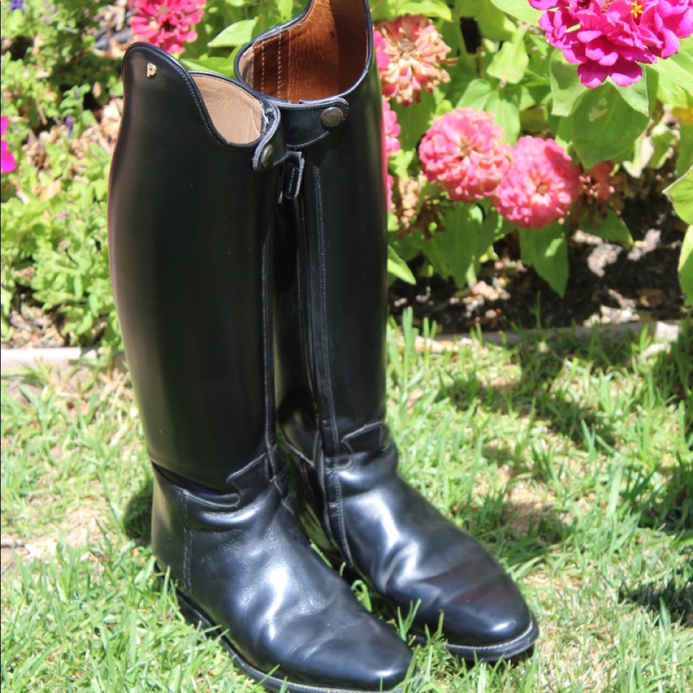 The Petrie Olympic Dressage Boot
